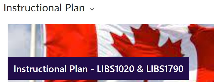 An Instructional Plan