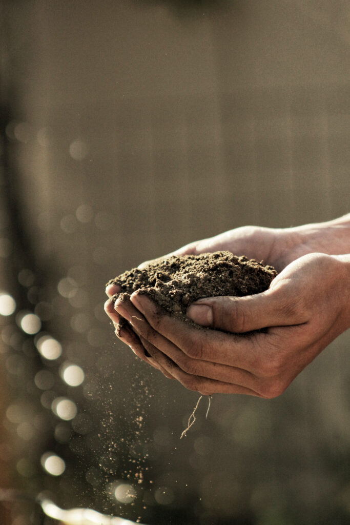 A person is holding soil in their hands, with the intent of using it for sustainability.